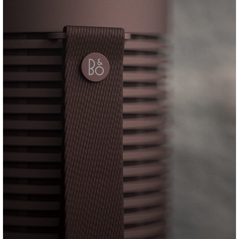 Bang & Olufsen BeoSound Explore Portable Waterproof Bluetooth Speaker - Chestnut